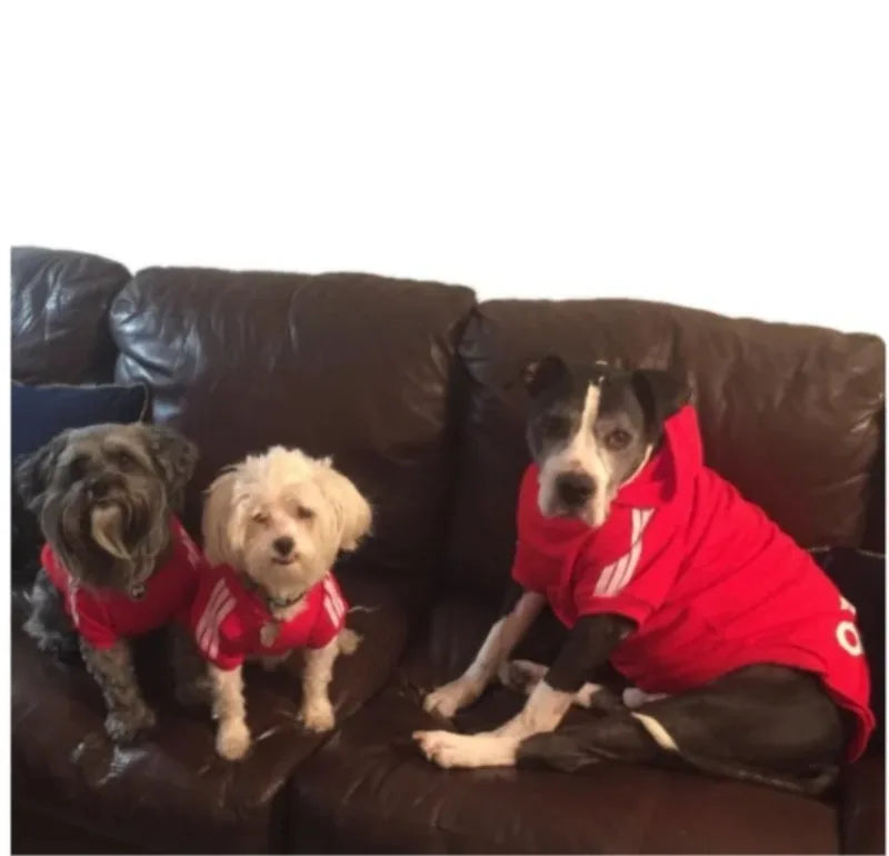 Adidog Hoodie