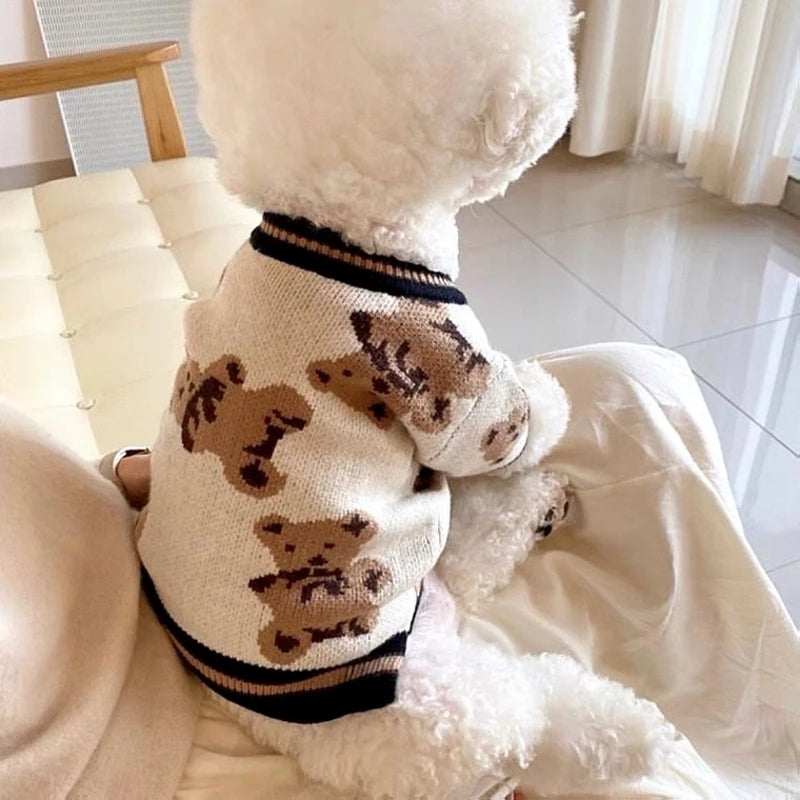 Teddy Bear Cardigan
